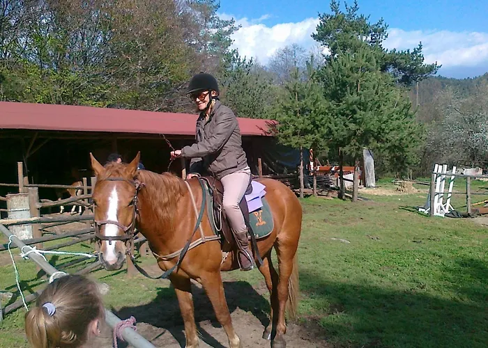 Ξενοδοχείο Rahoff Μπάνσκο